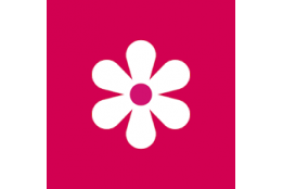گالری اصلی