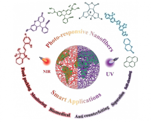 Publishing an article in the journal Progress in Materials Science