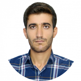 Dr Reza Lotfi Mayan Sofla