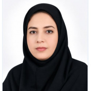 engineer Zahra Amirsedghi