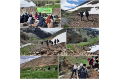 جشنواره ورزشهای همگانی بهاره ۱۴۰۳
