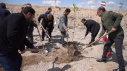 «نهال امید» در دانشگاه صنعتی تبریز ریشه دواند؛ پیوند سبز محیط‌زیست با یاد شهدای جنگ رمضان و دانش‌آموزان شهید میناب