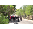 جاماندگان اربعین در سهند هم‌قدم با کاروان عشق شدند